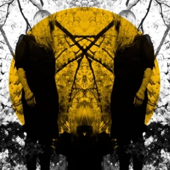 Image of Austra - Feel It Break Vinyl