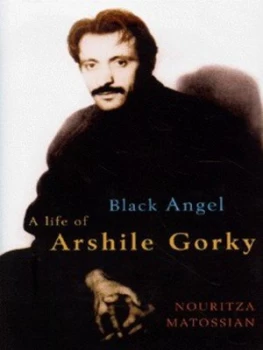 Image of Black Angel by Nouritza Matossian Hardback