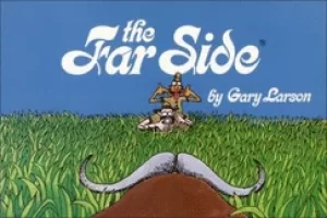 Image of far side