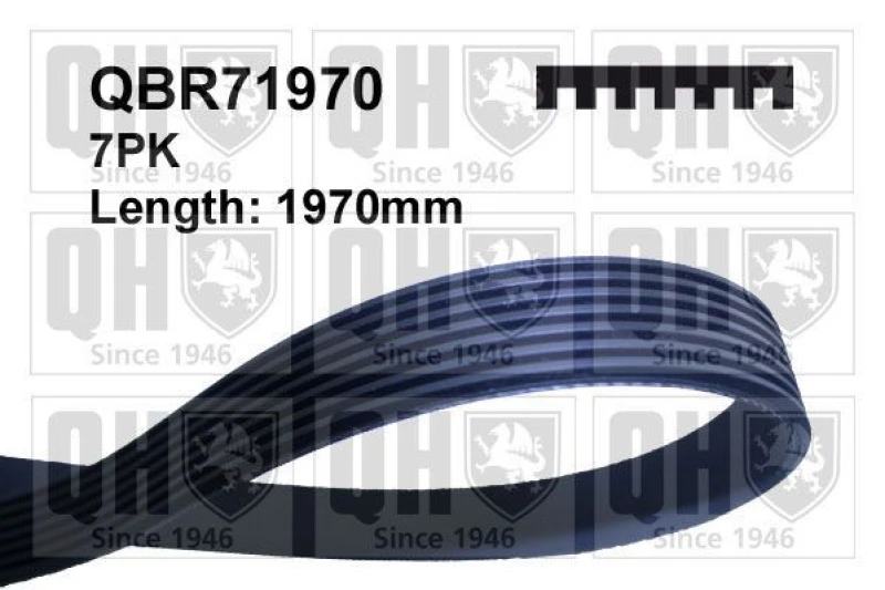 Image of QUINTON HAZELL Serpentine belt QUINTON HAZELL QBR71970