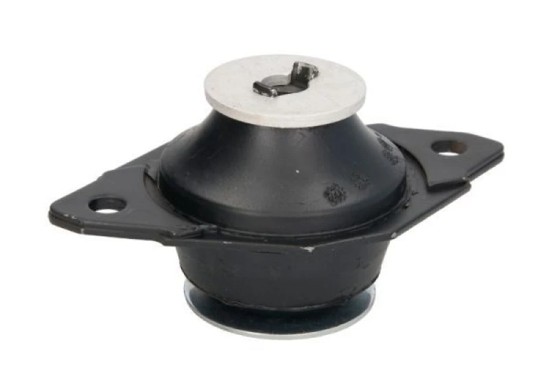 Image of REINHOCH Holder, engine mounting REINHOCH RH11-0011