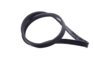Image of CONTITECH V-ribbed belt RENAULT,FIAT,TOYOTA 4PK925 8200041850,8200830190,8671019722 7657701,7657703,7753174,77648894,7764894,3396931,3406363,4038260