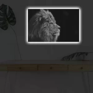 Image of 4570DHDACT-058 Multicolor Decorative LED Lighted Canvas Painting