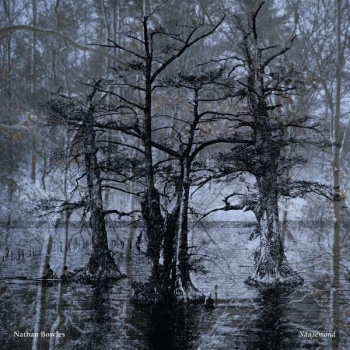 Image of Nathan Bowles - Nansemond CD