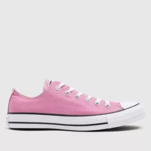 image of Converse Pink All Star Magic Flamingo Ox Trainers