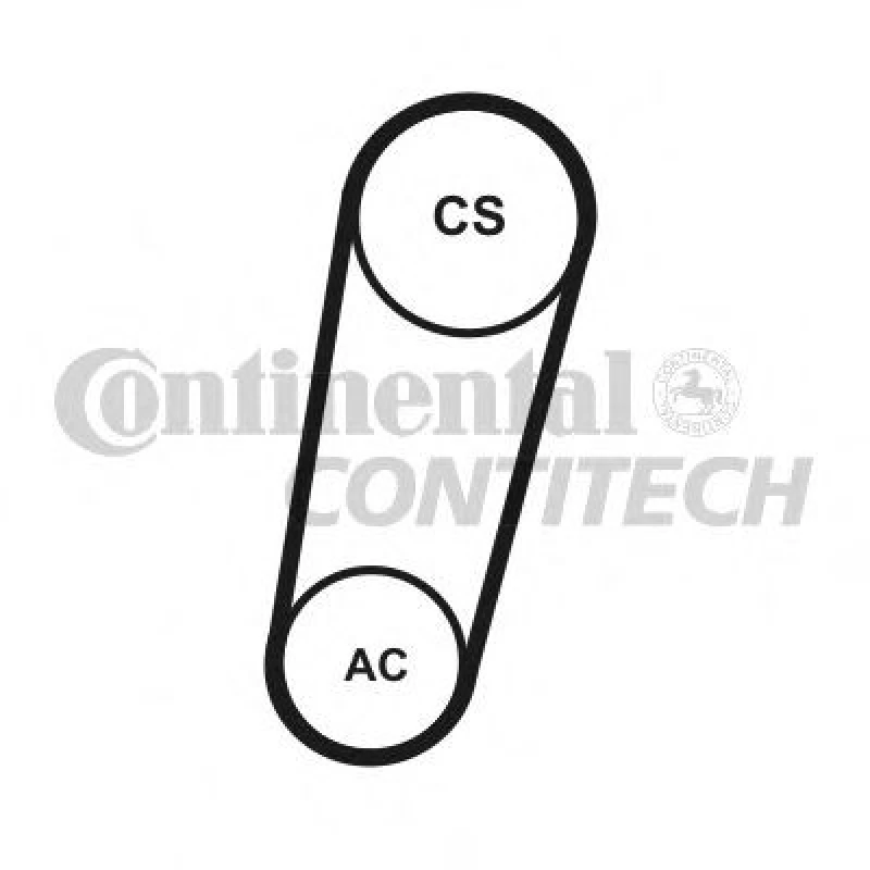 Image of V-Ribbed Belt Set CONTITECH 5PK705 ELAST T1