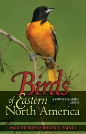 Image of Birds of Eastern North America by Paul Sterry