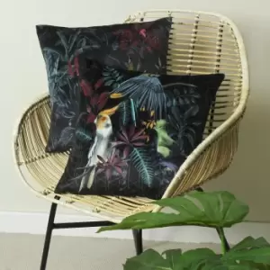 image of Zinara Cushion Birds MultiColoured