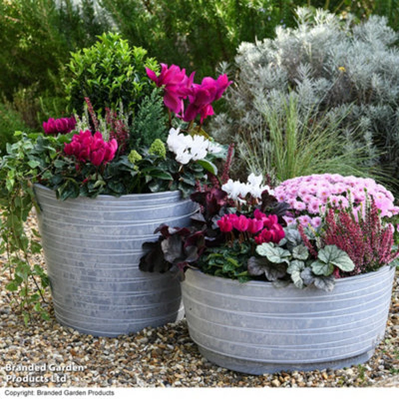 Image of Garden Gear Caesar Composition Marble Effect Planter D46 X H52Cm (X2)