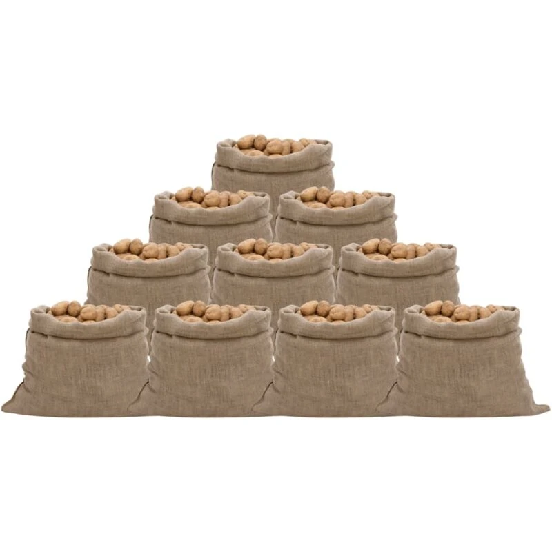 Image of Vidaxl Jute Sacks 10 Pcs 100X110 Cm 100% Jute 220 Gsm, Brown 155782