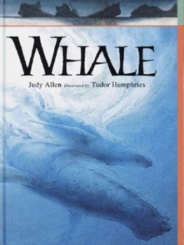 Image of Whale by Judy Allen and Tudor Humphries Hardback
