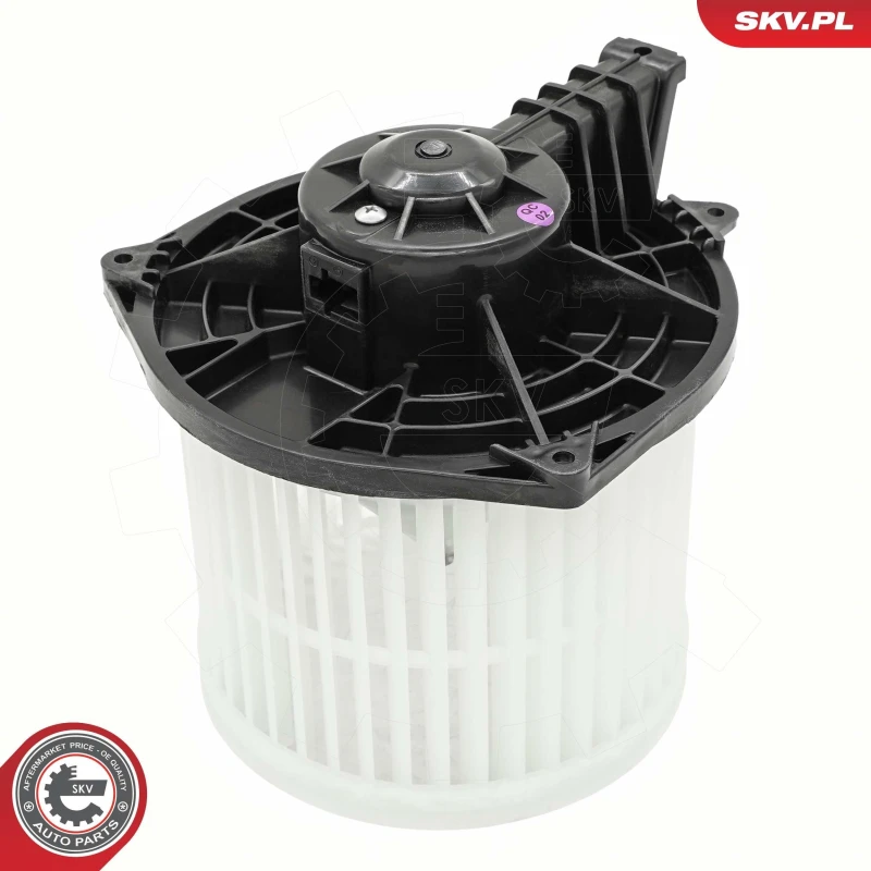 Image of ESEN SKV Blower motor ESEN SKV 68SKV248