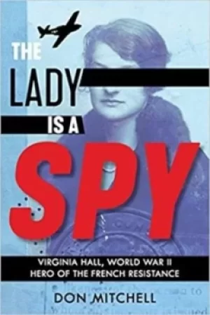 Image of The lady is a spy by Don Mitchell