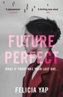 Image of Future Perfect : The Most Exciting High-Concept Novel of the Year