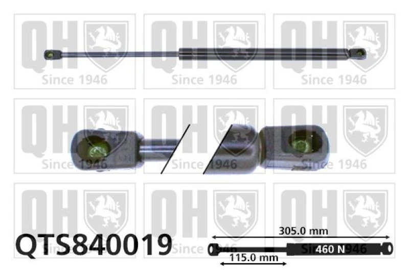 Image of QUINTON HAZELL Tailgate strut QUINTON HAZELL QTS840019
