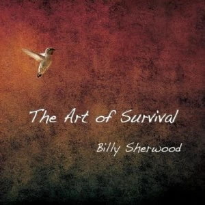 image of The Art of Survival by Billy Sherwood CD Album