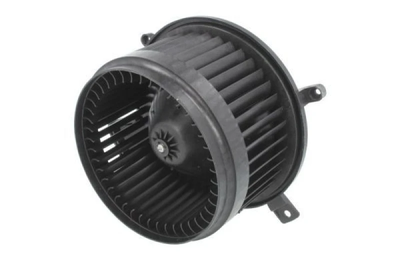 Image of THERMOTEC Blower motor THERMOTEC DDY002TT