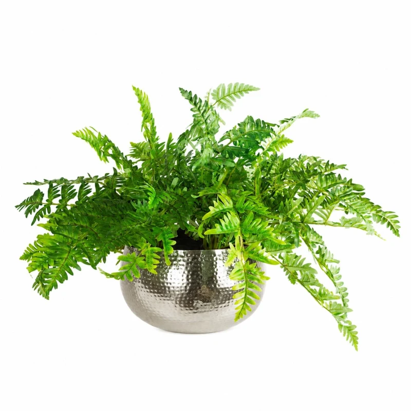 Image of Leaf Large Artificial Ferns Display with XL Metal Silver Bowl Planter 50x65cm Green