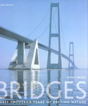 Image of Bridges by David J Brown Hardback