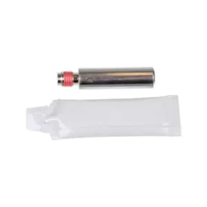 Image of JP GROUP Brake Caliper Bolt JP GROUP Front Axle 1161950100 Caliper Bolt,Brake Caliper Bolt VW,AUDI,MERCEDES-BENZ,Golf IV Schragheck (1J1),POLO (9N_)