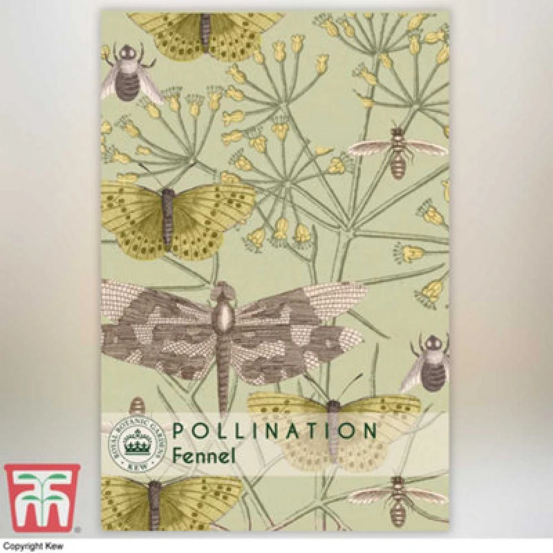Image of Thompson & Morgan Fennel Promo New Kew Range 1 Seed Packet (250 Seeds)