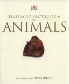 Image of Dk Illustrated Encyclopedia of Animals by David Burnie Hardback