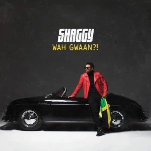 Image of Shaggy - Wah Gwaan Vinyl