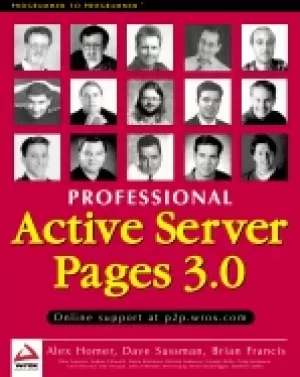 Image of professional active Server pages 3 0