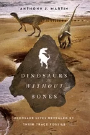 Image of dinosaurs without bones