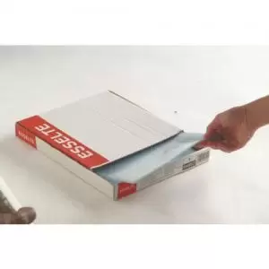 Image of Esselte Punched Pocket, 30 A4 sheets, Transparent, Matte, 38 Micron