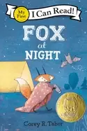 Image of fox at night