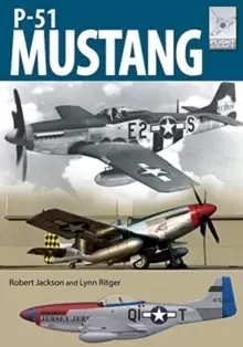 Image of Flight Craft 19: North American Aviation P-51 Mustang