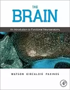 Image of brain an introduction to functional neuroanatomy