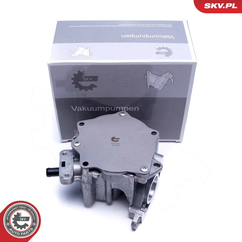 Image of ESEN SKV Brake vacuum pump ESEN SKV 18SKV060