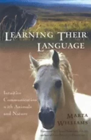 Image of learning their language intuitive communication with animals and nature