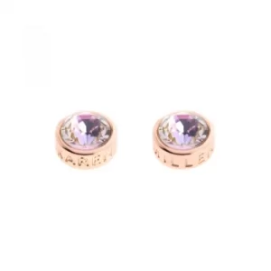 image of Ladies Karen Millen Rose Gold Plated Logo Stud Earring