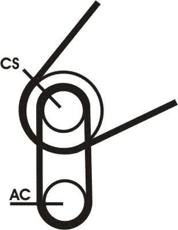 Image of V-Ribbed Belt Set CONTITECH 5PK716 ELAST T1