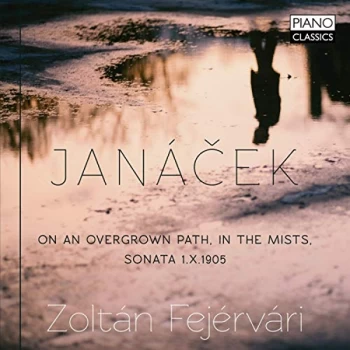 image of Zolt&aacute;n Fej&eacute;rv&aacute;ri - Jan&aacute;cek: On an Overgrown Path/In the Mists/Sonata 1.X.1905 CD