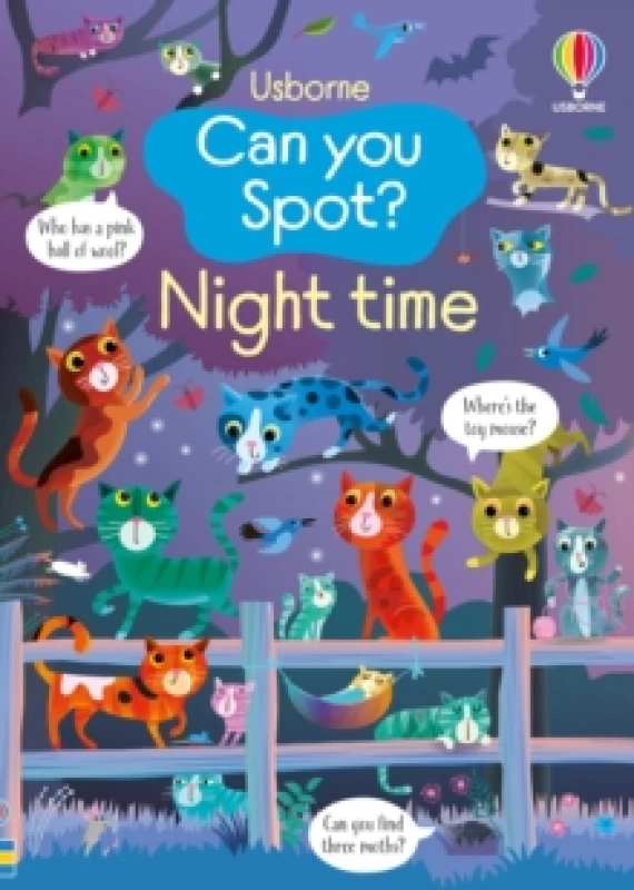 Image of Can you Spot? Night time Paperback / softback