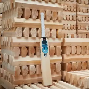 Image of Gunn And Moore and Moore Diamond 606 Cricket Bat Juniors - White