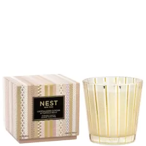 Image of NEST New York Crystallized Ginger and Vanilla Bean 3 Wick 600g