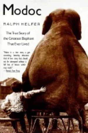 Image of modoc the true story of the greatest elephant that ever lived