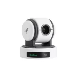 Image of BIRDDOG Eyes P100W