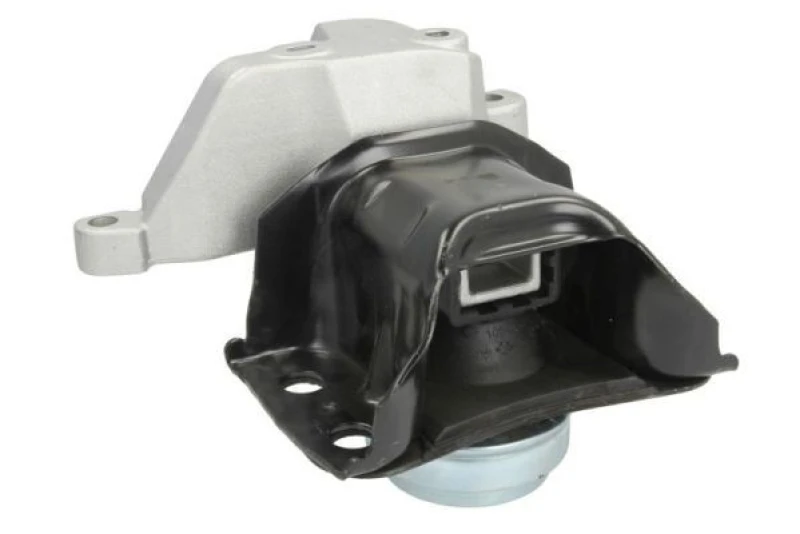 Image of REINHOCH Holder, engine mounting REINHOCH RH11-2126