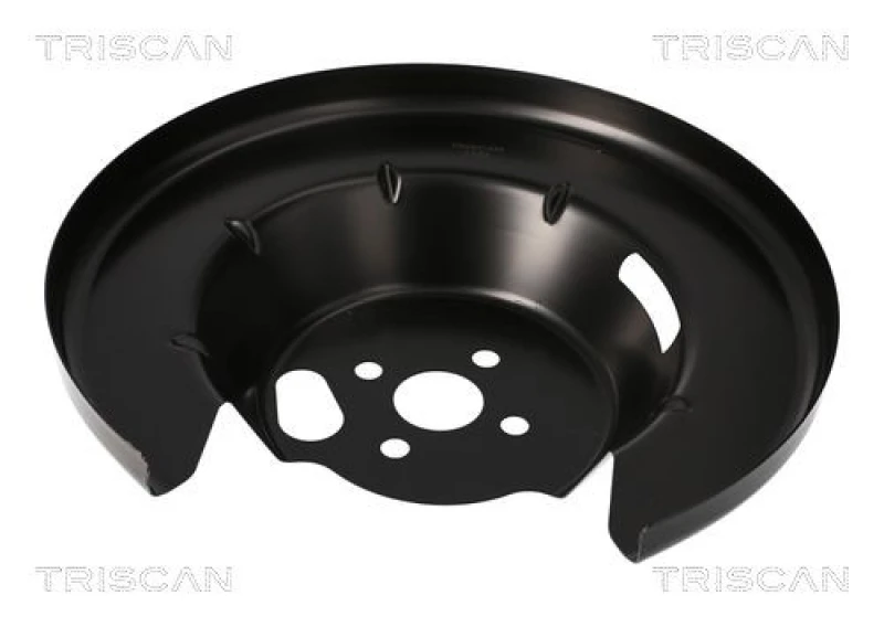 Image of TRISCAN Brake disc backing plate TRISCAN 8125 25208