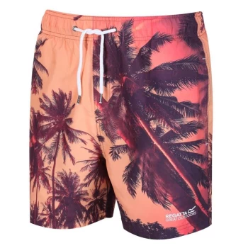 Image of Regatta Mawson II Swimming Shorts - Multi