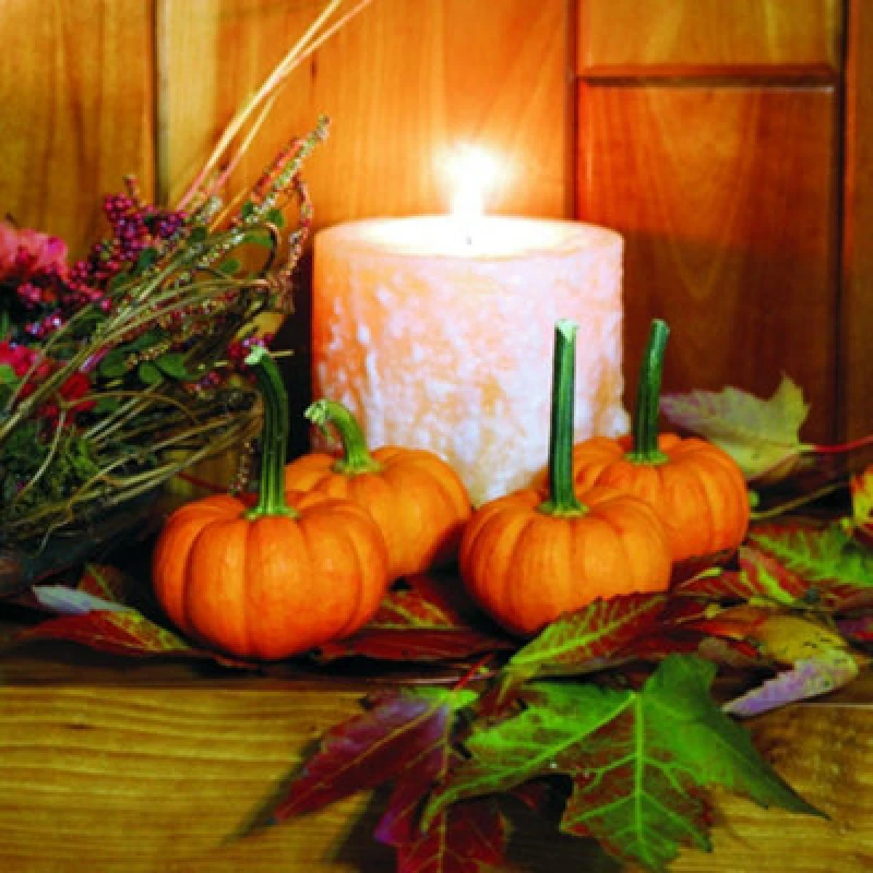 Image of Thompson & Morgan Gold Speck F1 Pumpkin Seeds - Mini Bush Sweet Edible Easy Disease-Resistant (4 Seeds)