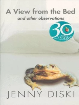 Image of A View from the Bed by Jenny Diski Paperback