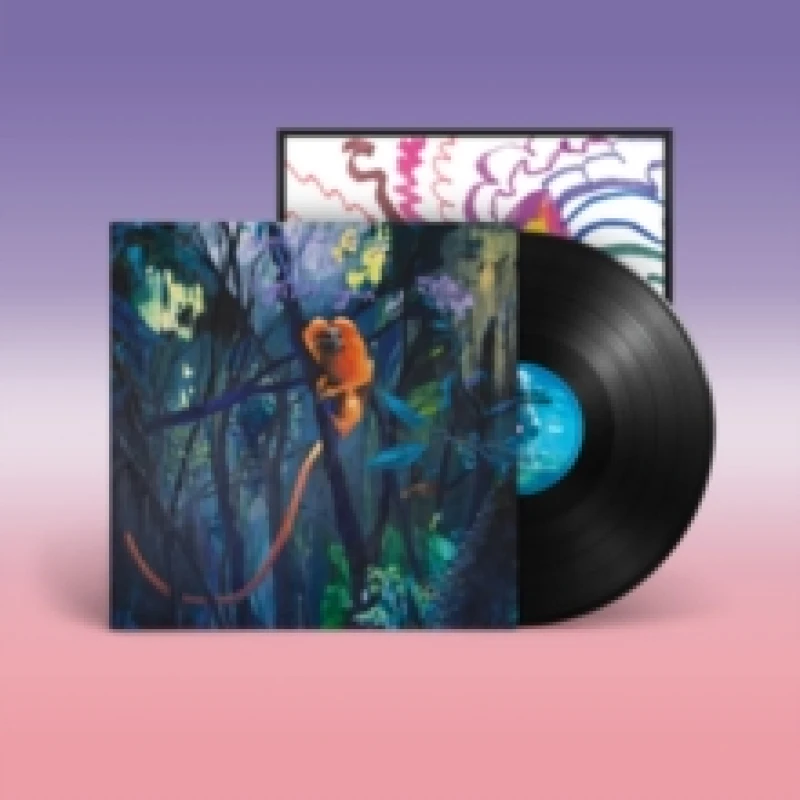 Image of We Are Together Again Vinyl