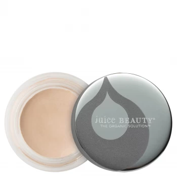 image of Juice Beauty PHYTO-PIGMENTS Perfecting Concealer 5.5g (Various Shades) - 05 Buff